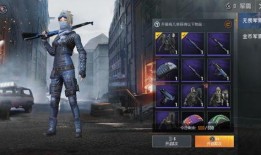 和平精英最新红装爆料实战,实战解析，揭秘战场霸主新装备