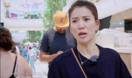 袁咏仪狗仔爆料视频大全,揭秘娱乐圈幕后真相